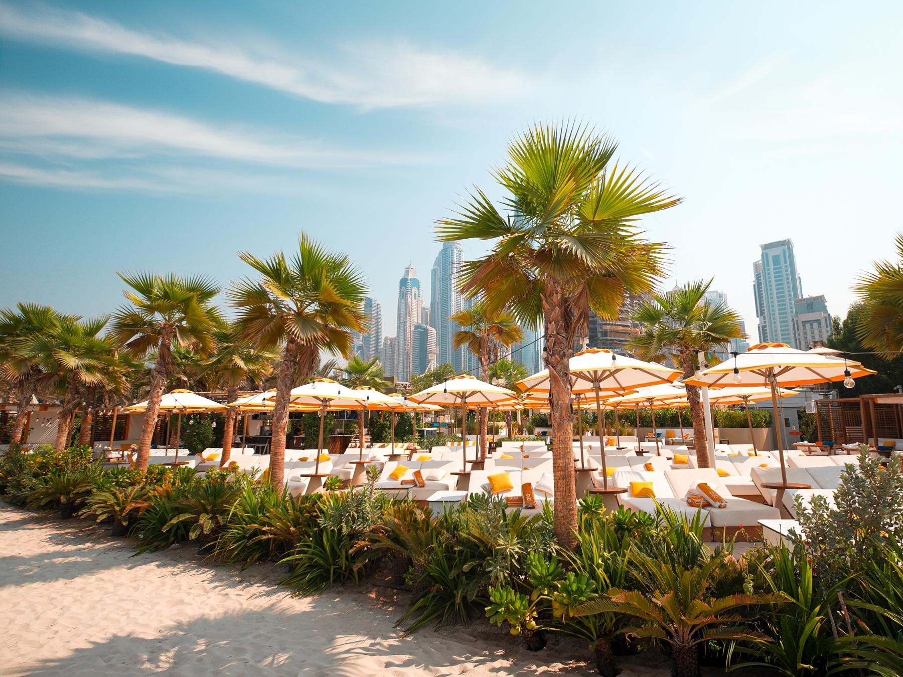 Beach Area