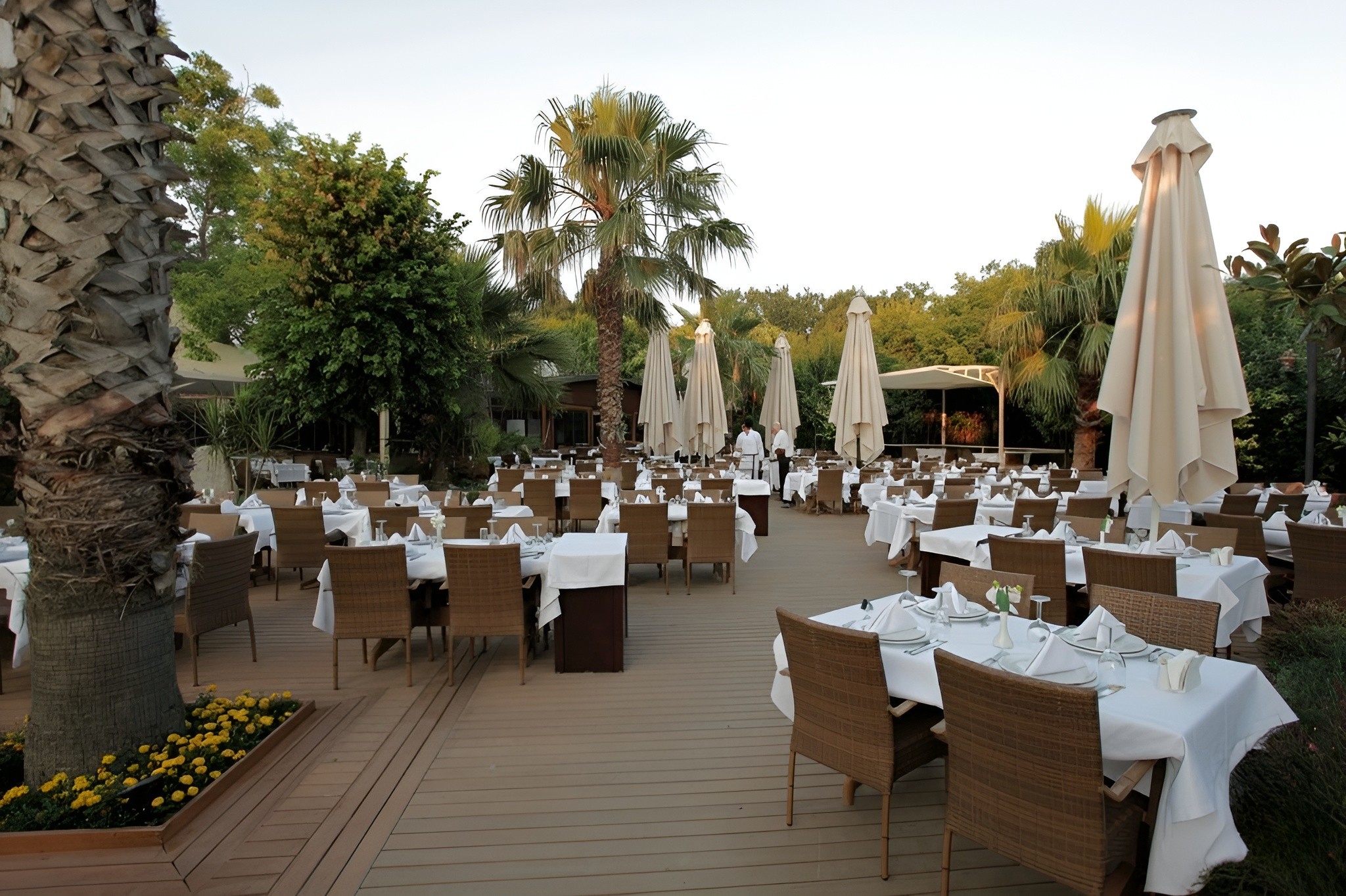 Terrace 2