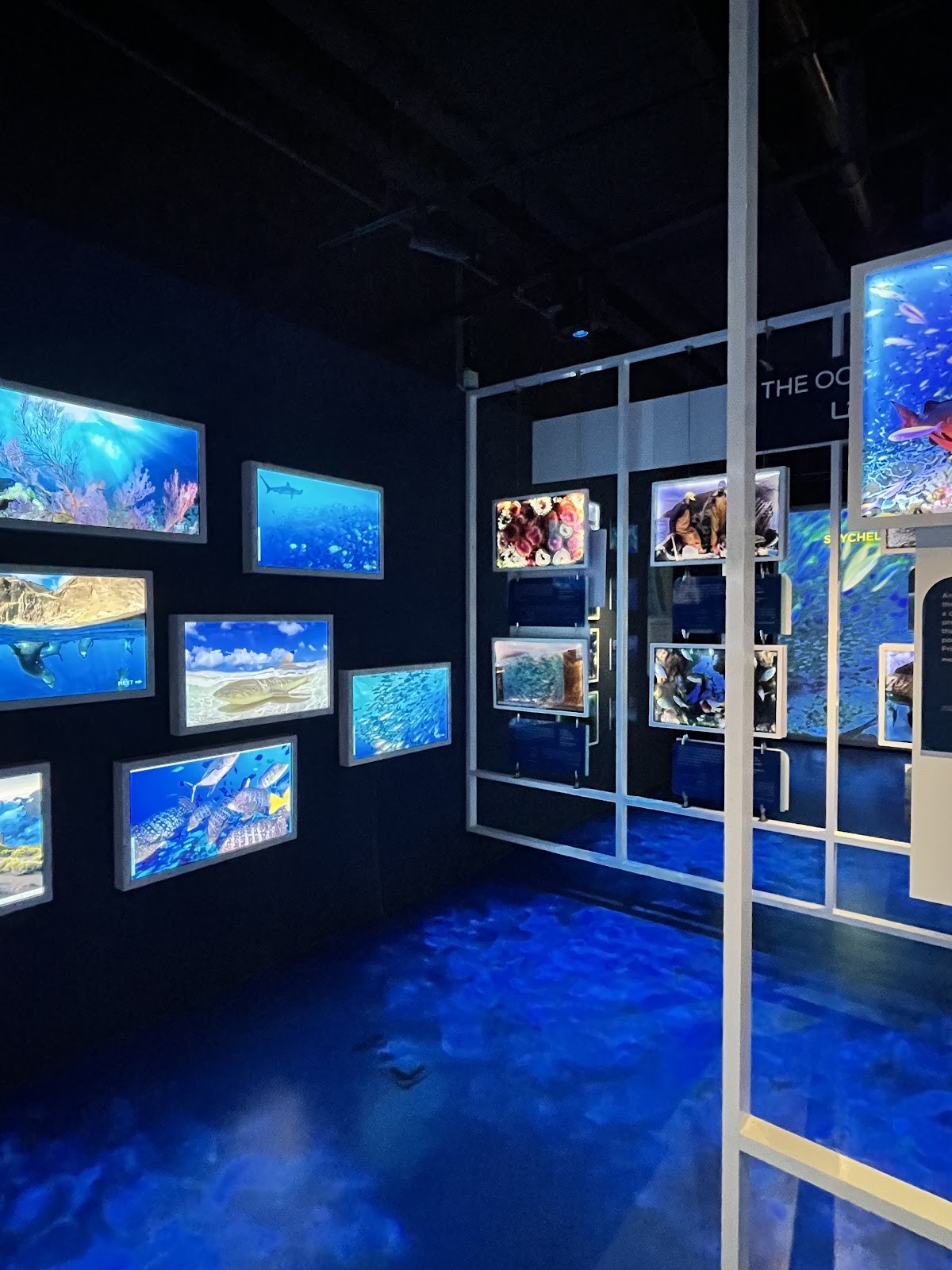 The National Aquarium Abu Dhabi
