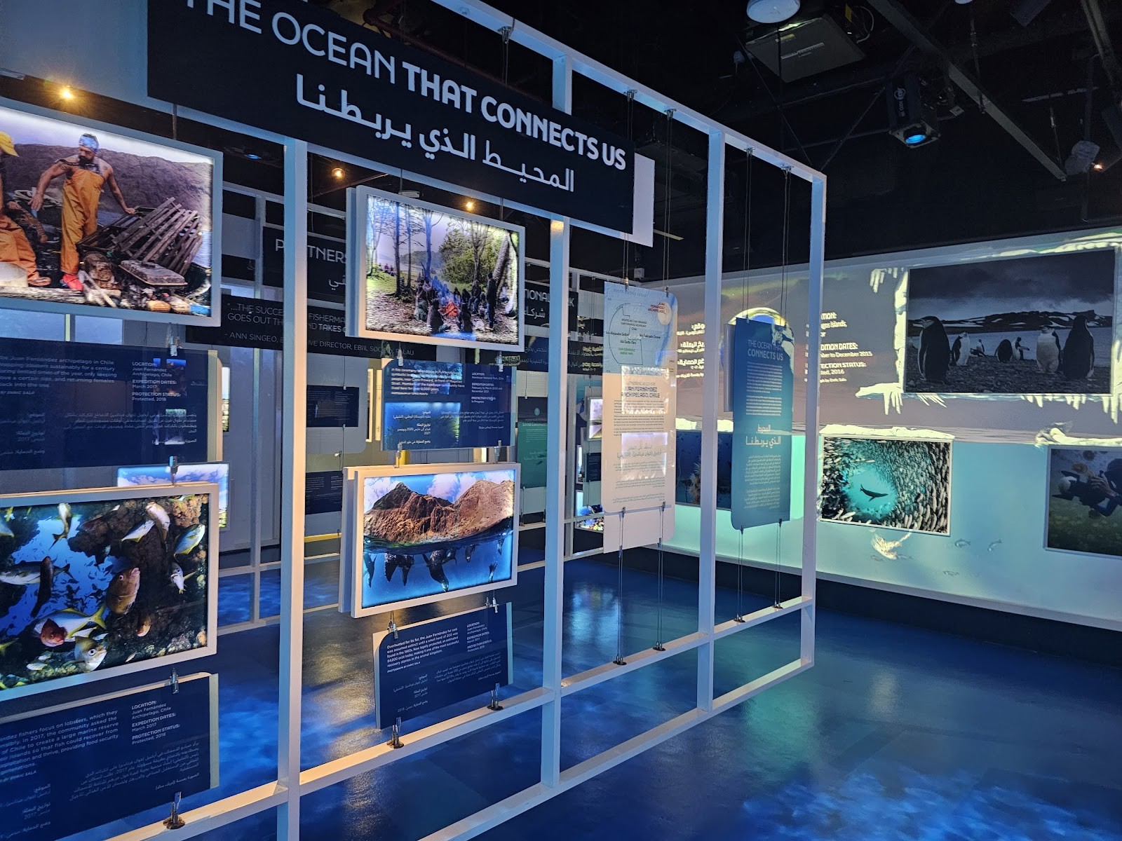 The National Aquarium Abu Dhabi