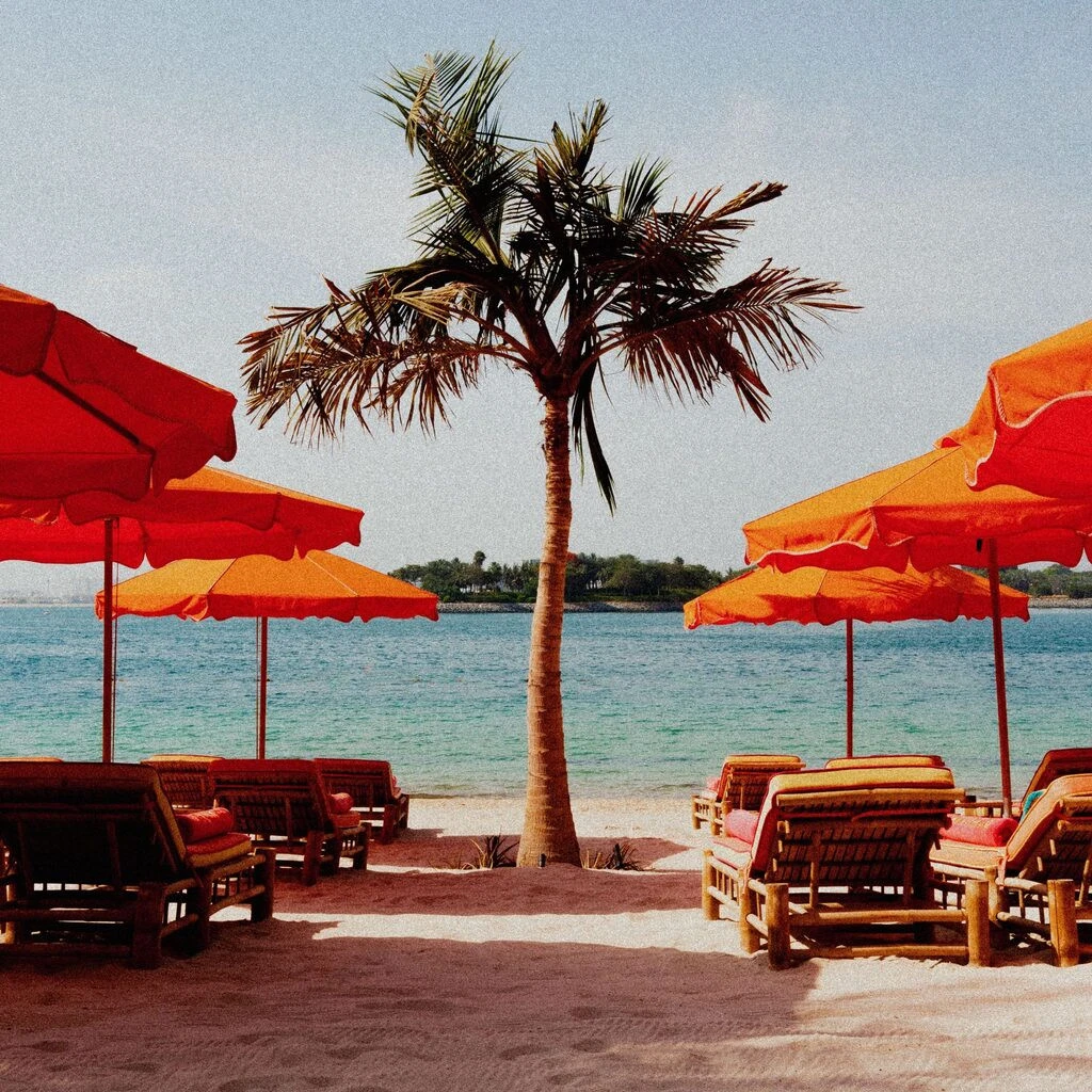 Tagomago Dubai beach with orange umbrellas and palm tree.