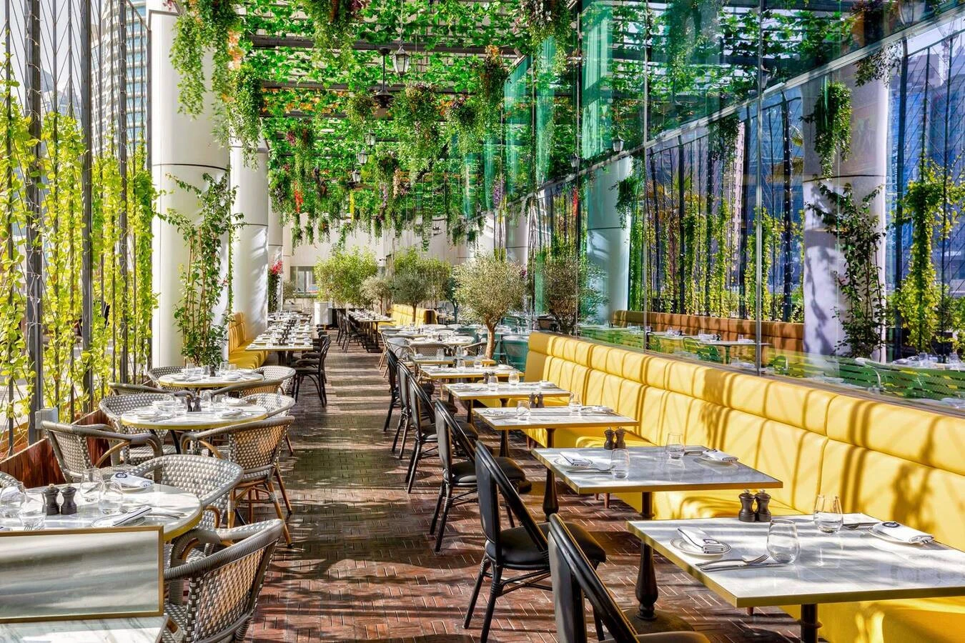 Couqley Dubai, vibrant dining with hanging plants and yellow seating.