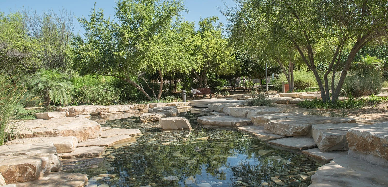 Tranquil stone pathway and pond at Umm Al Emarat Park, Abu Dhabi.