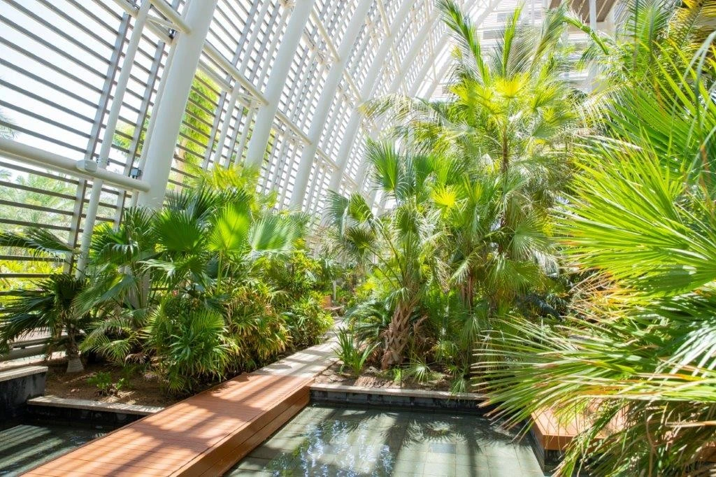 Lush greenery inside Umm Al Emarat Park, Abu Dhabi.
