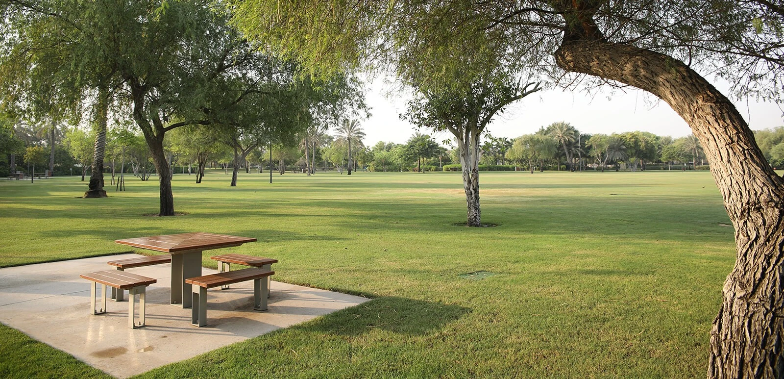 Lush green lawn with trees at Umm Al Emarat Park, Abu Dhabi.