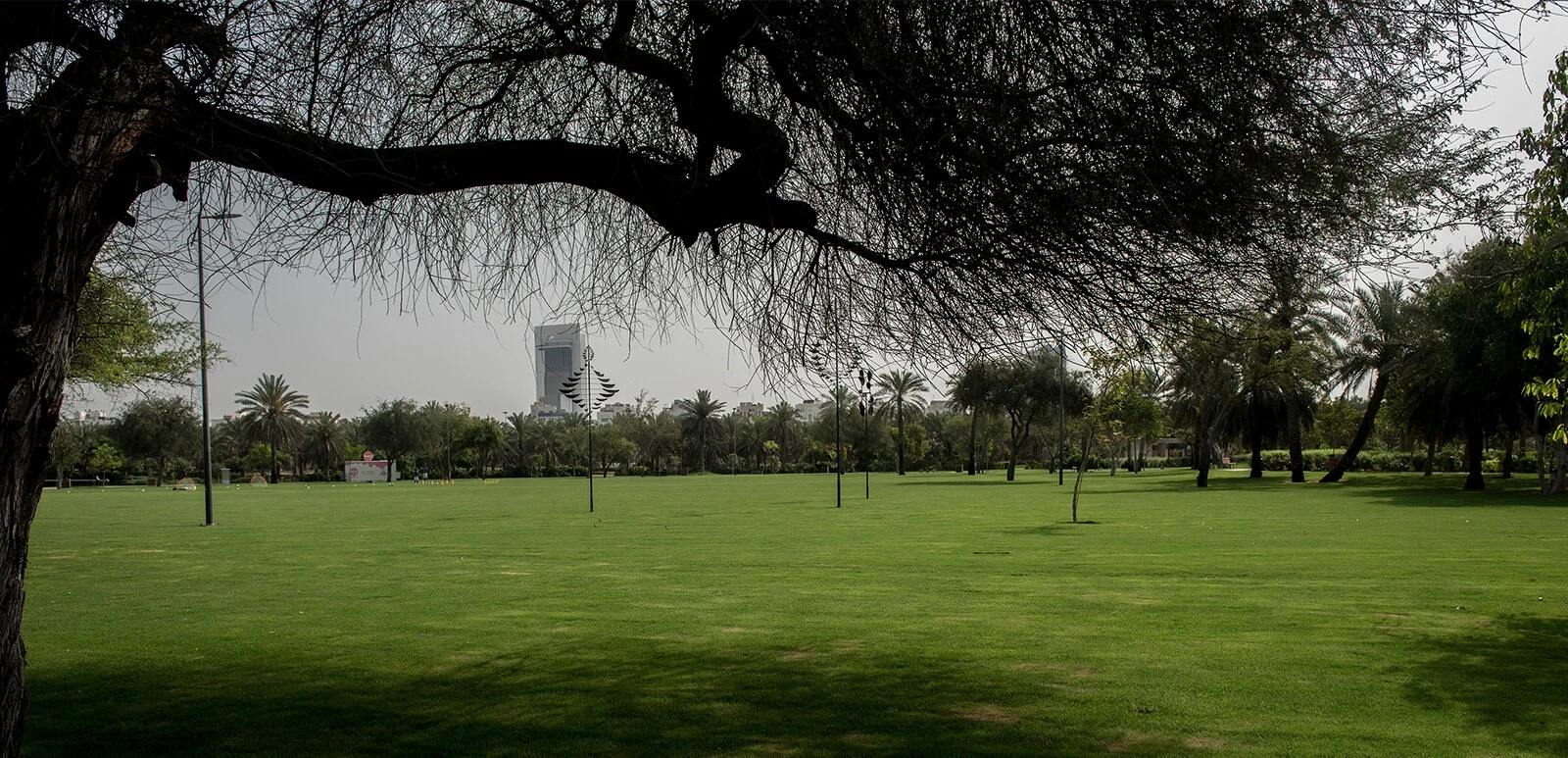 Lush green lawn at Umm Al Emarat Park, Abu Dhabi.