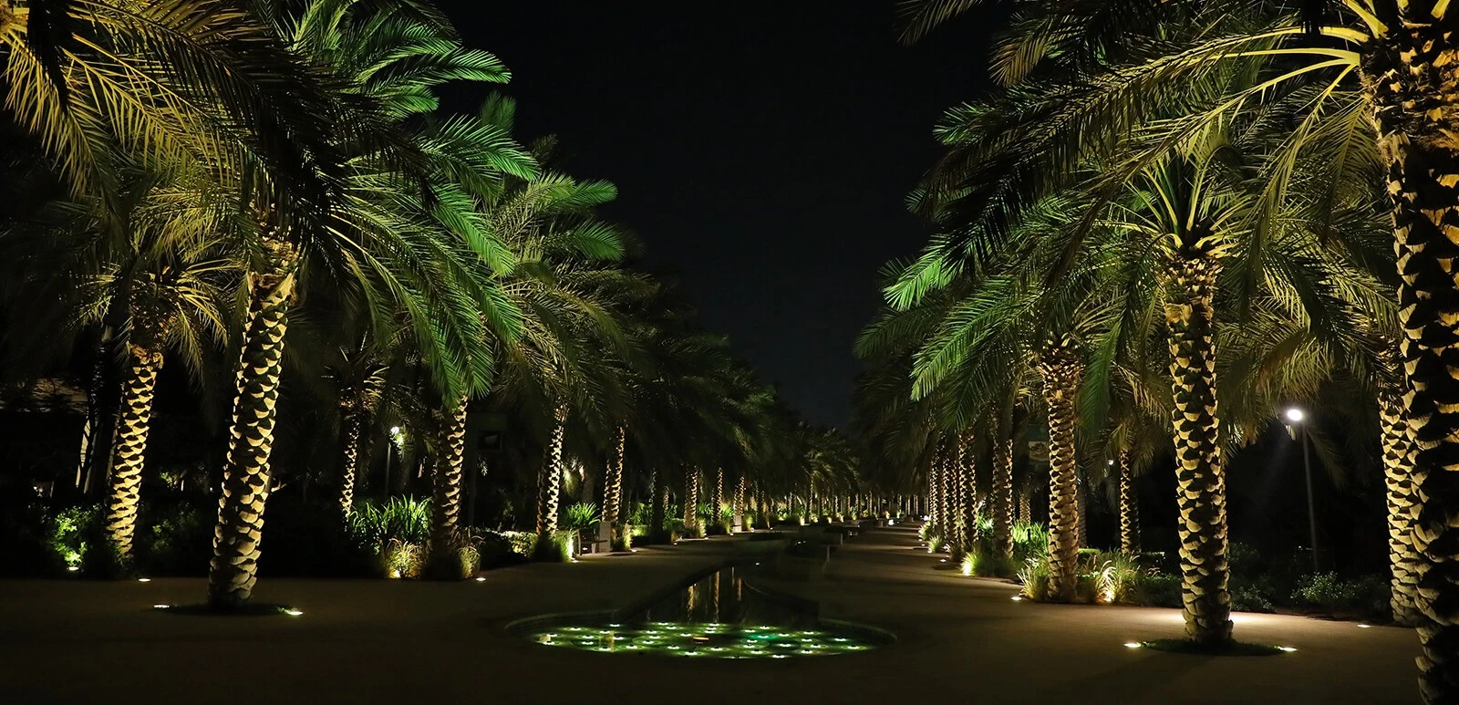 Palm-lined path illuminated at night, Umm Al Emarat Park, Abu Dhabi.