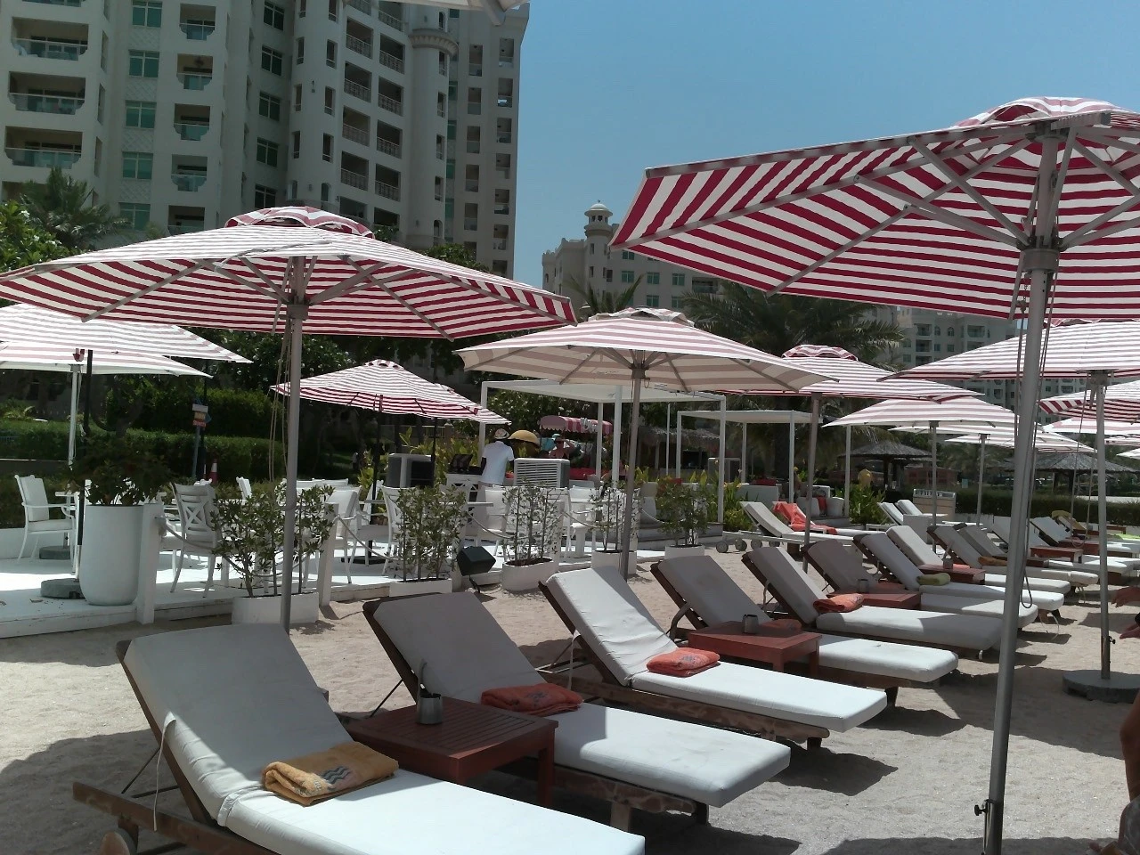 Peaches & Cream Beach Restaurant Dubai with sun loungers and umbrellas.