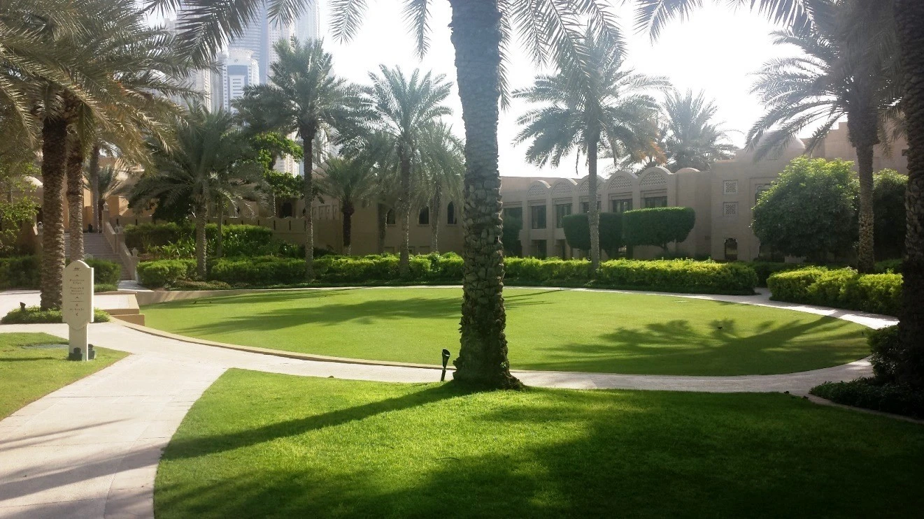Palm trees and lawn at One&Only Royal Mirage, Dubai.
