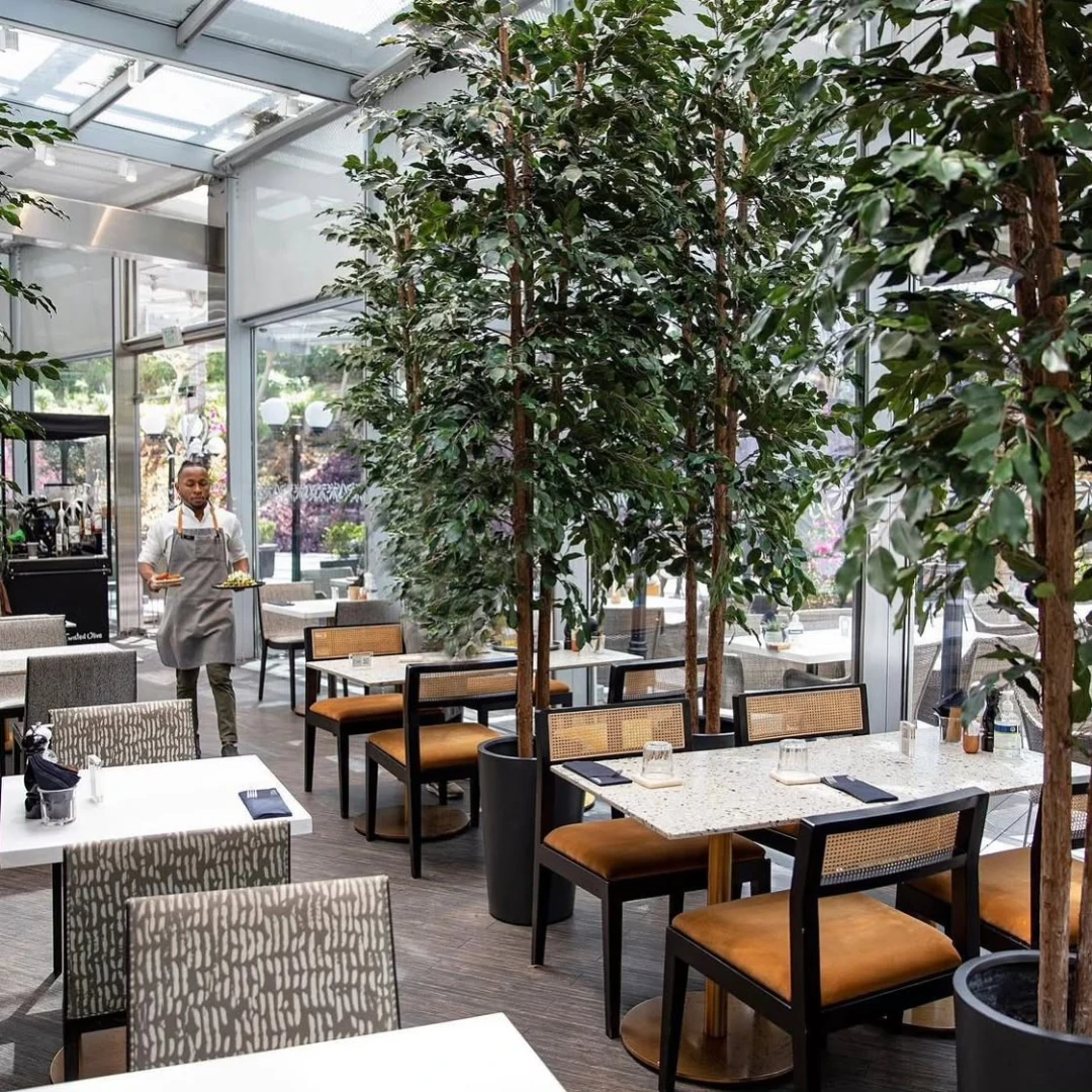 Indoor dining area at Twisted Olive & Naama’s Garden, Doha.