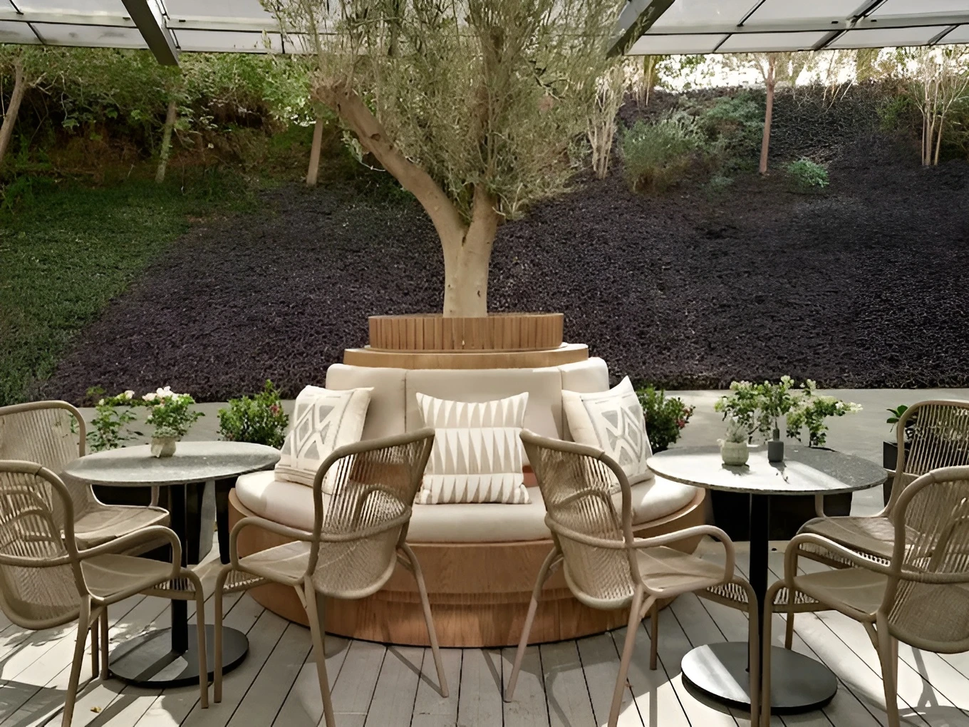Patio seating with tree centerpiece at Twisted Olive, Doha.
