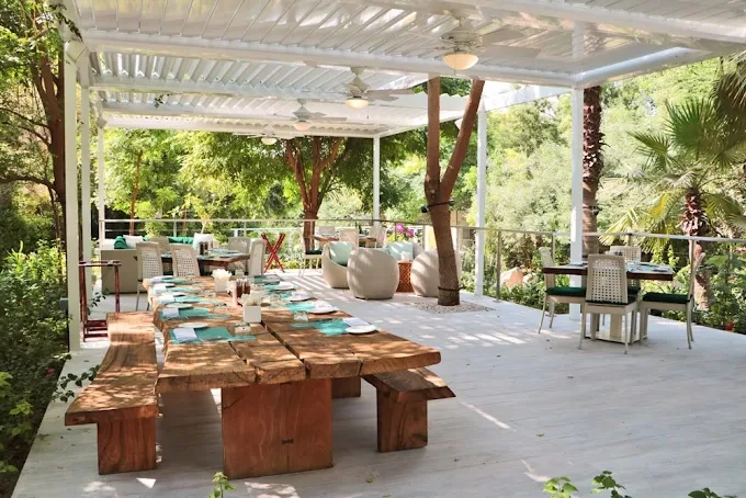 Rustic wooden tables in lush garden setting, The Farm, Dubai.