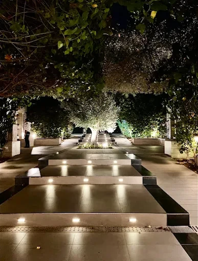 Illuminated pathway at The Farm Restaurant Al Barari, Dubai, surrounded by trees.