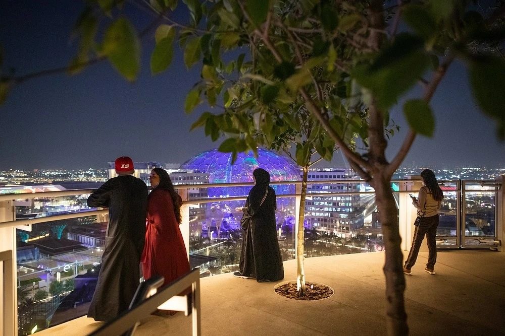 Night view from Garden In The Sky, Expo City Dubai.