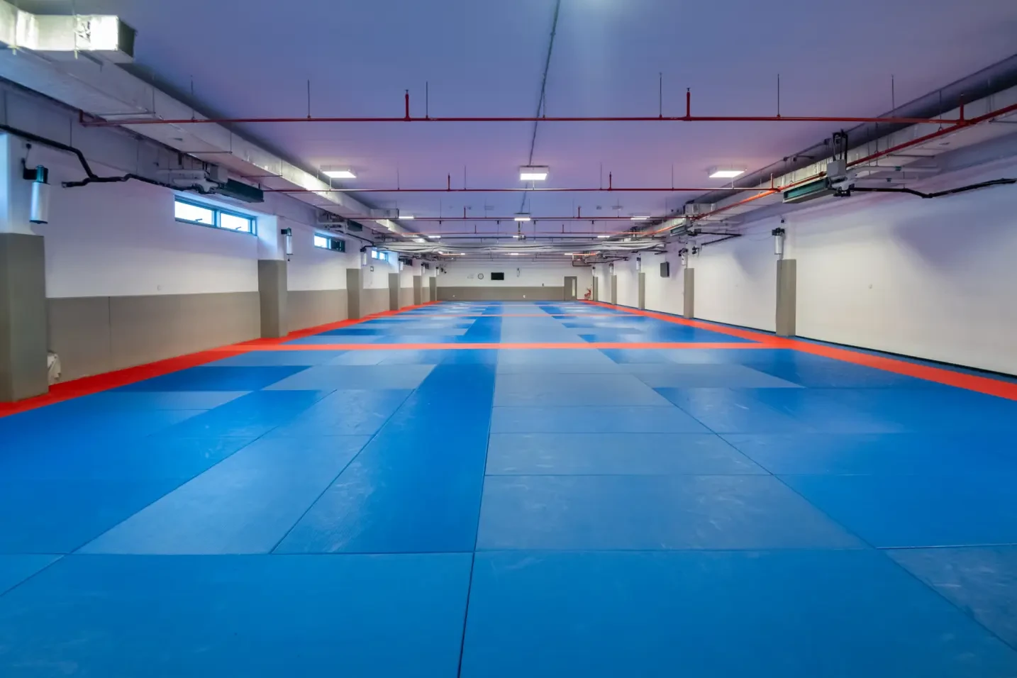 Spacious training mats at Mubadala Arena, Abu Dhabi, for martial arts.