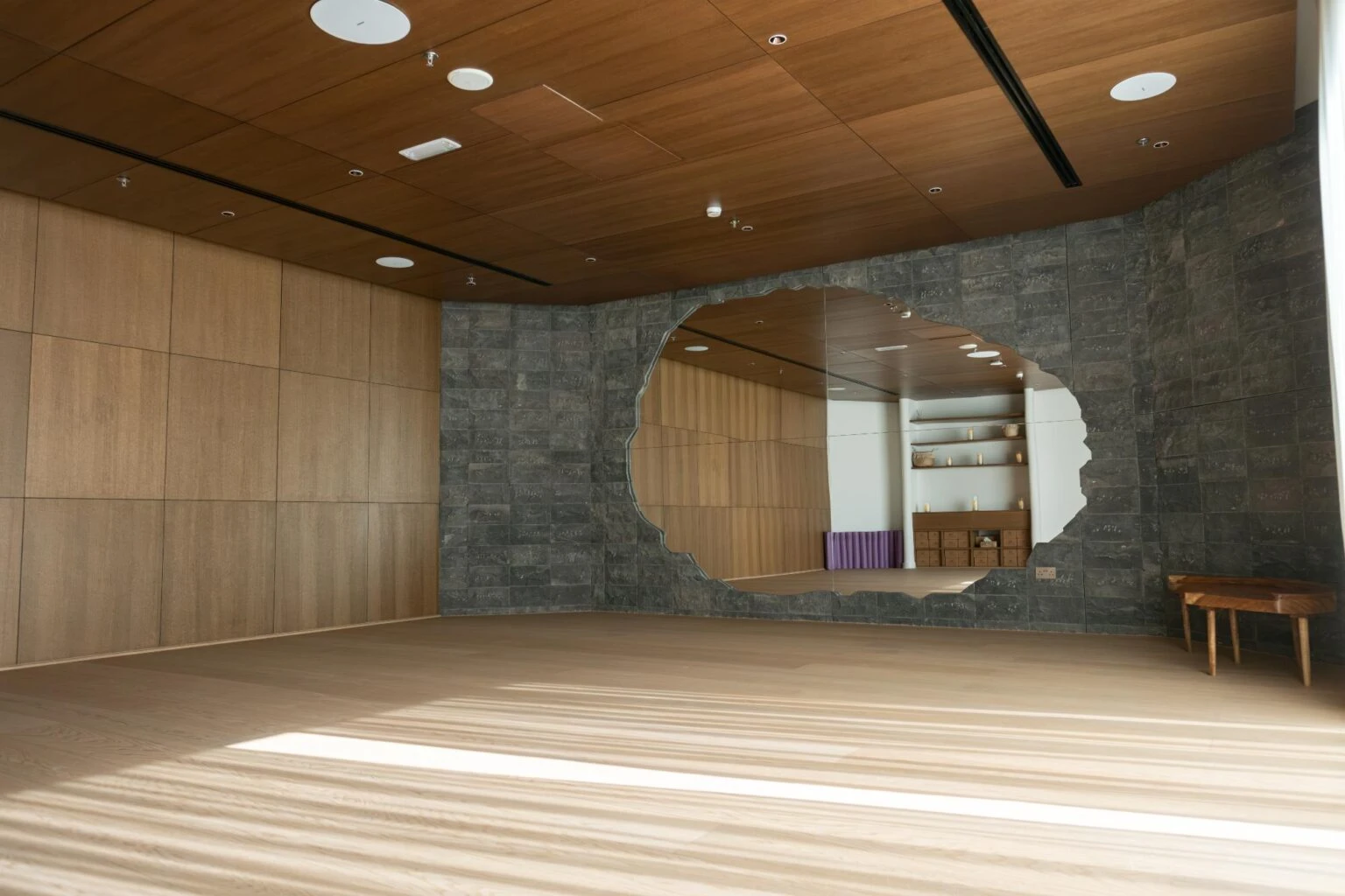 Sohum Wellness Sanctuary