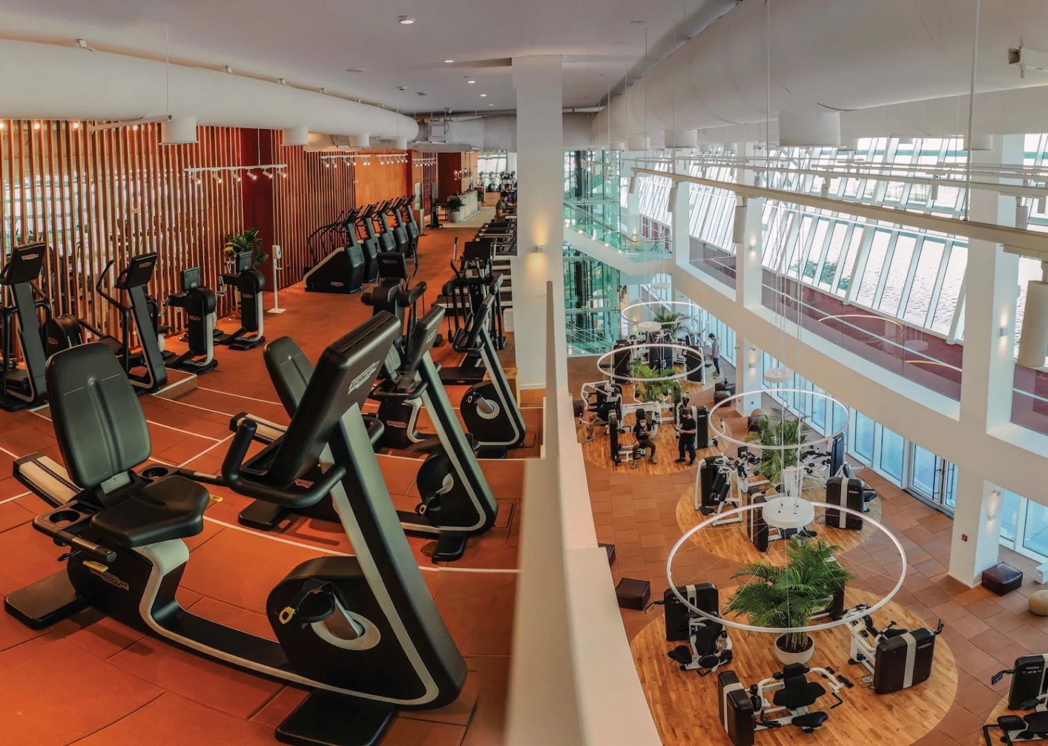 The Bridge, Wellness Hub