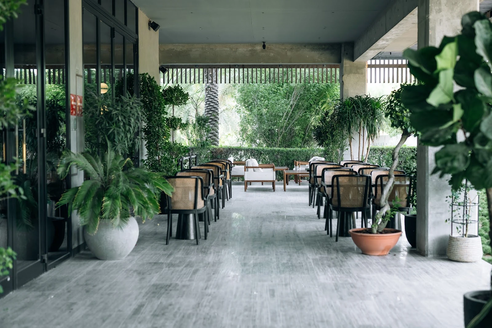 Terrace