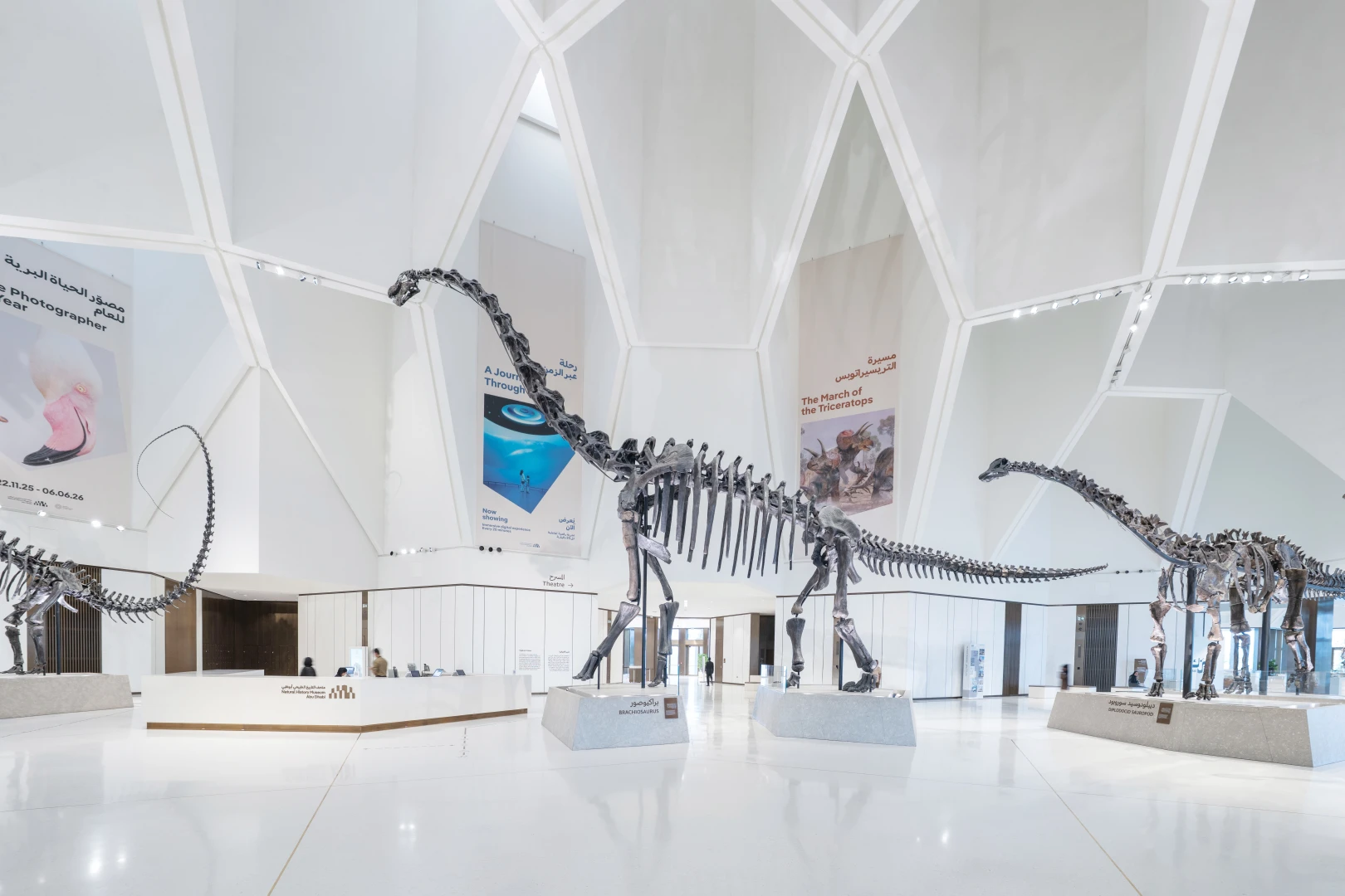 Atrium Area