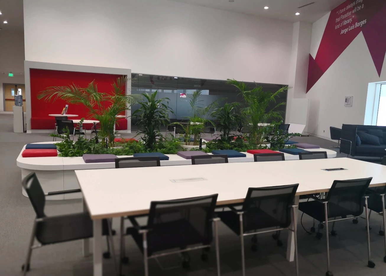 MBSC Prince Mohammed Bin Salman College Of Business and Entrepreneurship Hejaz Boulevard